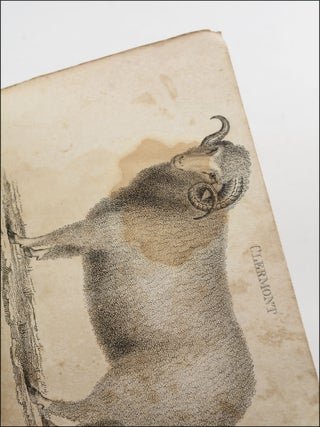 Essay on Sheep; Their Varieties—Account of the Merinos of Spain, France, &c. Reflections on the Best Method of Treating Them, and Raising a Flock in the United States: Together with Miscellaneous Remarks on Sheep, and Woolen Manufactures . . . Second Edition, Much Enlarged, and Illustrated by Engravings.
